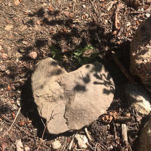 Meet your Posher, Joni